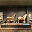 국립김해박물관 이미지