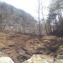 쇠골농장 이미지