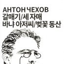 [267th]갈매기/세 자매/바냐 아저씨/벚꽃 동산 이미지