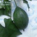 신세계빌딩부동산중개 이미지