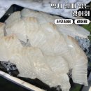 광동수산산오징어 | 신길역 횟집 광동수산 산오징어 먹으러 갔다가 광어회 추가함