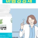 에듀노마즈