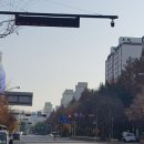 주정차단속-124 이미지