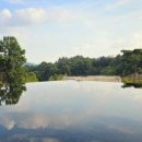 남원시립김병종미술관 이미지