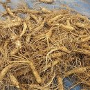 창수농장 이미지