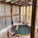 show dog | 일본 여행 | 유후인 || 후기가 없어서 너무나도 불안했던 '호테이야' 료칸 후기♨️시다카룸