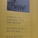 홍성불가마 | 2024년 갑진년 새해맞이