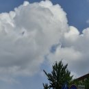 성황당어린이공원 이미지