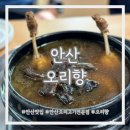 감골오리향 이미지