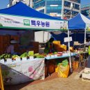 포항시청 이미지