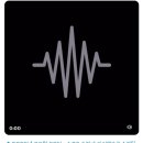 셀럽퍼피 이미지