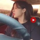 하블리 티스토리