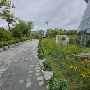 서울식물원 103 이미지