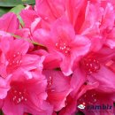 토월주유소 이미지