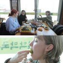 체리와친구들
