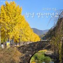 주-003-충혼탑입구3 | 창녕영산만년교|여름ㆍ가을 풍경이 예쁜 은행나무 사진명소, 가볼만한곳