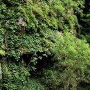 바위목욕탕 이미지