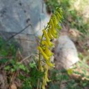 심포 버스정류장 이미지