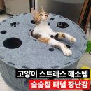 고양이 스트레스 해소 방법, 숨숨집 터널 사용 후기