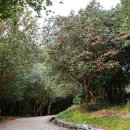 옥룡사지 이미지