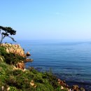 안동(부산) 이미지