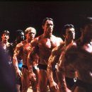 아놀드헬스 이미지