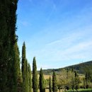 도열농장 이미지