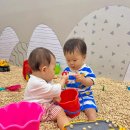 키즈스플래쉬(부산본점) | 서면 키즈카페 챔피언 롯데백화점 부산본점 후기