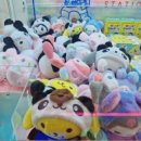 모모스테이션 이미지