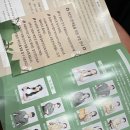 광주공연마루 | 광주 뮤지컬 여덟번째 딴짓 후기｜아이와 단둘이 즐긴 문화 데이트