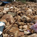 휴게소주유소 이미지