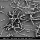 에스제이(SJ)환경 이미지