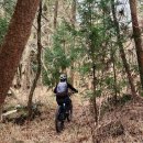 용강목장 이미지