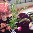 진전초등학교 이미지