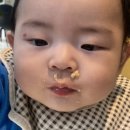 개발새발 이미지