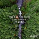 마태복음 13:18~30 좋은 땅과 좋은 씨에 집중하십시오 이미지