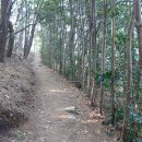 공곶이가는길 이미지