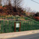 의령 서동리 함안층 빗방울 자국 네이버블로그