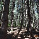 강촌이모네 이미지