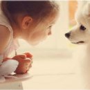 보육학개론 이미지