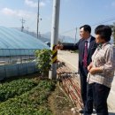 태자농장 이미지