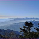 (주)그린청명 이미지