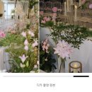 W-16 📱아이폰스냅 &#39;오브드문&#39;🌙 계약후기