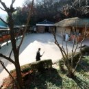 박정희로-3 이미지