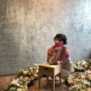 은빛꽃꽂이조경학원 이미지
