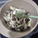 위치스플랜 마녀스프 내돈내산 솔직후기 더맛있게 양 늘리는 방법 다이어트진짜잘됨