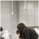 키스더도그/아르테미스 이미지