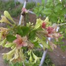 광의농장 이미지