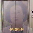 라포레 본식 드레스 이미지투어 후기, 실크 vs 잔잔비즈 vs 레이스