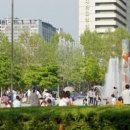 평촌중앙공원 네이버블로그